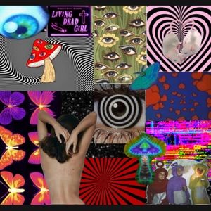 Meet your Posher, Kailah